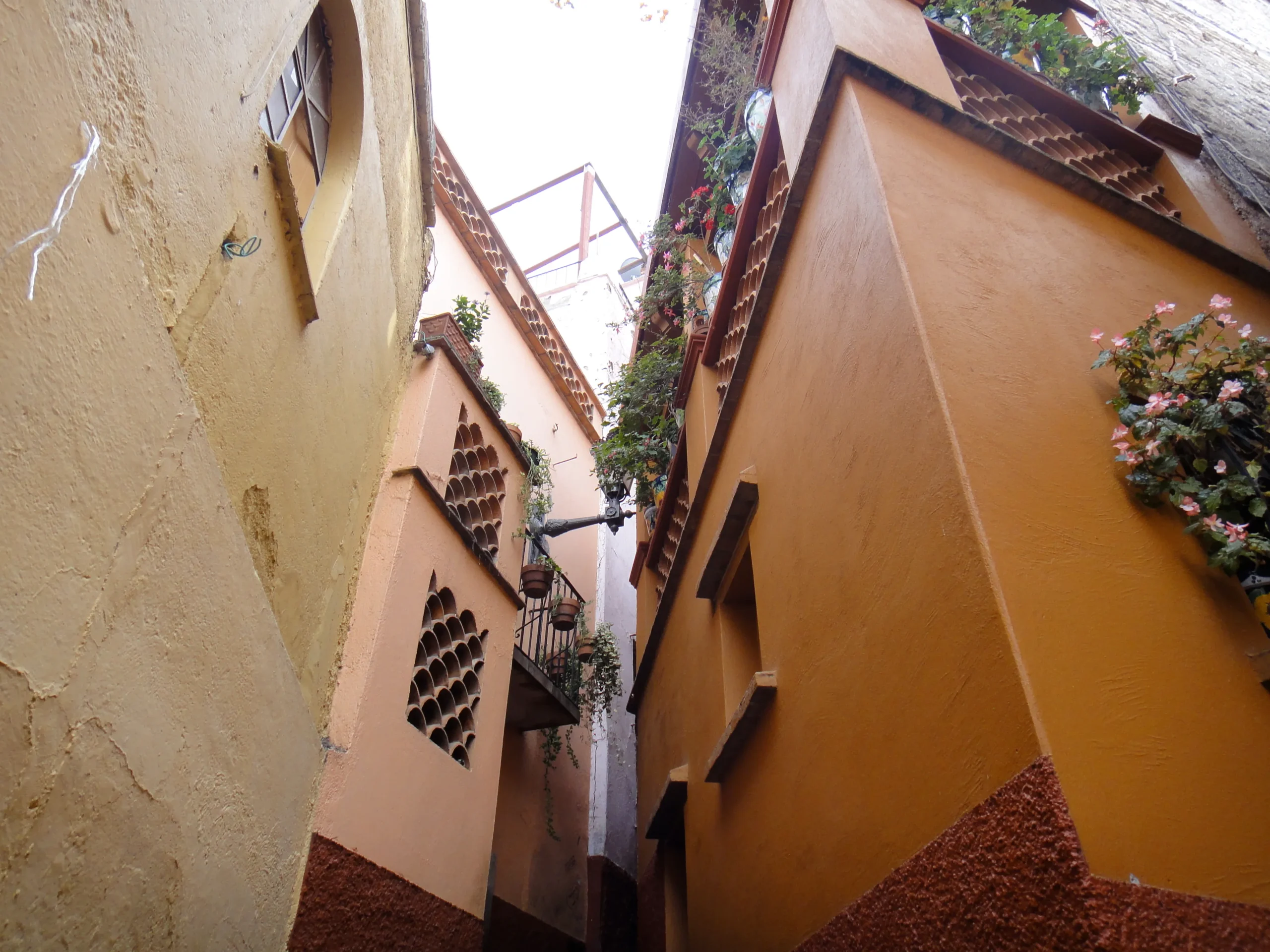 Case coloniali con balconi uno di fronte all'altro nel Callejón del Beso, una famosa meta turistica nel centro storico di Guanajuato, Messico.